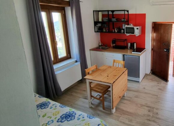 Appartamento con 1 Camera da Letto