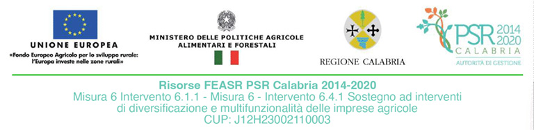 Banner La Cantina Morano